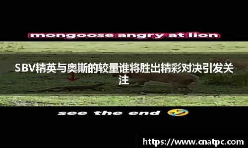 SBV精英与奥斯的较量谁将胜出精彩对决引发关注